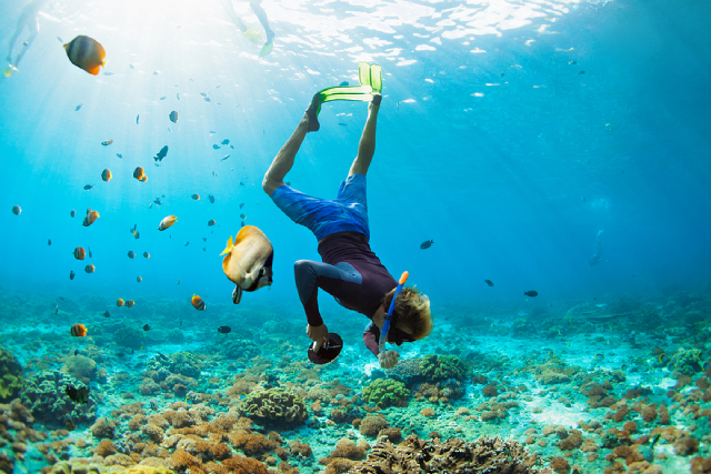 5 Useful Tips To Make The Most Out Of Your Next Diving Trip