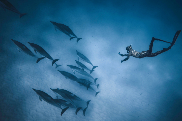 The World’s Most Fascinating Underwater Adventure Spots