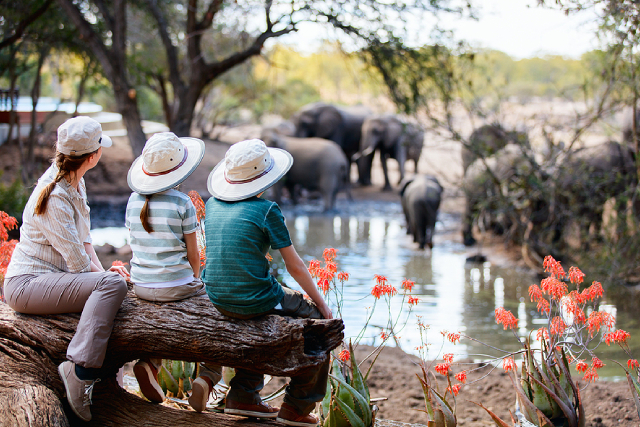 Planning A Safari? Key Safety Steps You Can’t Afford To Skip